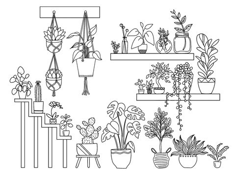 Houseplant Line Drawing, Doodle Plants Flower, Plants On Shelf Drawing, How To Draw House Plants, Plant Shelf Drawing, Simple Flower Pot Drawing, Hanging Plant Drawing Simple, Hanging Plant Doodles, Potted Plant Doodles