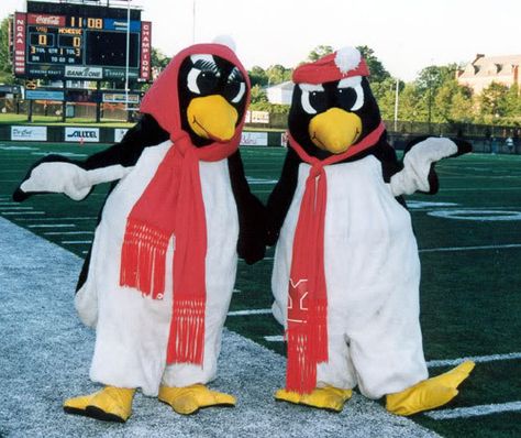 #Youngstown #State #University #Mascot Pete and Penny @Homefacts Youngstown State University, Sports Advertising, Youngstown Ohio, School Theme, Winter Event, Top Colleges, Ohio Usa, Red Scarves, Event Marketing