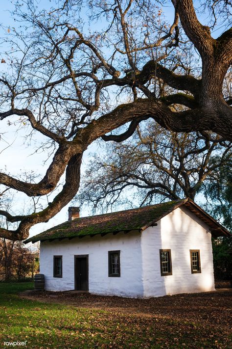 Red Bluff California, California Vineyards, Adobe Home, Sacramento River, Red Bluff, Monterey Peninsula, California Coastline, California Bear, Adobe House