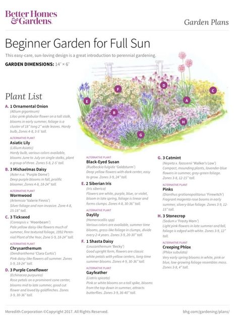 Beginner Garden, Flower Garden Layouts, Full Sun Garden, Perennial Garden Plans, Flower Garden Plans, Flower Bed Designs, Full Sun Perennials, Green Meals, Sun Garden