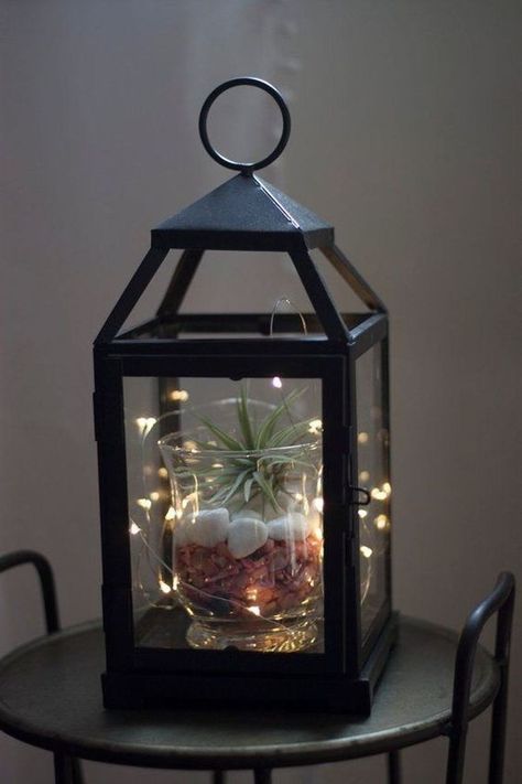 Simple lantern terrarium with black iron lantern, succulent, white gravel and decorative lighting for your home decor Lantern Terrarium, Kaktus Dan Sukulen, Lantern With Fairy Lights, Lantern Ideas, Succulent Garden Diy, Air Plant Terrarium, Table Decor Living Room, Iron Lanterns, Hanging Succulents