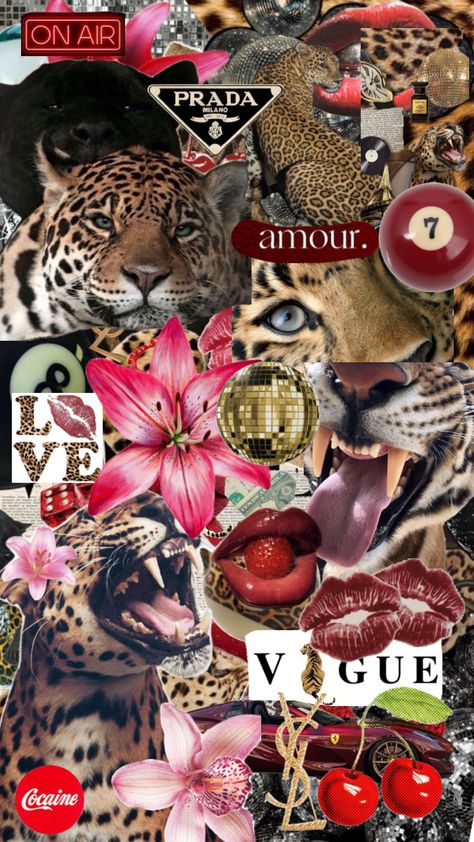 Glamour Wallpaper Aesthetic, Glamour Aesthetic Leopard, Y2k Leopard Print Wallpaper, Wallpaper Backgrounds Leopard, Glamour Wallpaper Iphone, Leapord Print 2000s Wallpaper, Wallpaper Iphone Leopard, Cheetah Wallpaper Aesthetic, Lepord Print 2000s Wallpaper