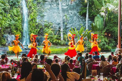 The origins of the Hawaiian luau, luaus and luau foods of today and tips on attending a luau in Hawaii. Oahu Luau, Maui Luau, Oahu Waikiki, Honolulu Zoo, Hawaii Itinerary, Maui Resorts, Honolulu Waikiki, Waikiki Hawaii, Honolulu Oahu