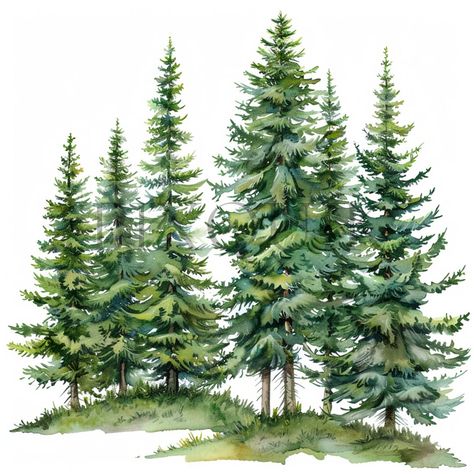 This Clip Art & Image Files item is sold by PixQuik. Ships from Switzerland. Listed on 01 Jun, 2024 Trees Clipart, Collage Images, Fir Trees, Tree Clipart, Diy Watercolor Painting, Tree Images, Diy Watercolor, Fir Tree, Tree Leaves