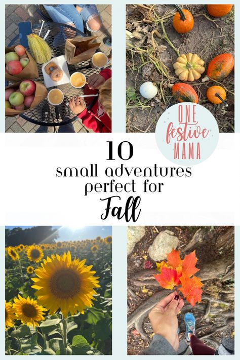 10 fun ways to get out and enjoy fall. Memory making all season long. Fall Picnic, Things To Do With Kids, Natural Curiosities, Fall Inspiration, National Parks Trip, In Season Produce, Apple Picking, Sunflower Fields, Explore Nature