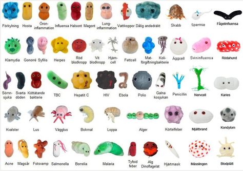 Giant microbes! They're so cute! Giant Microbes, Cells Project, Science Nerd, Trash Art, Weird Science, Cute Stuffed Animals, Cute Plush, Plush Animals, Stuffed Animal Patterns