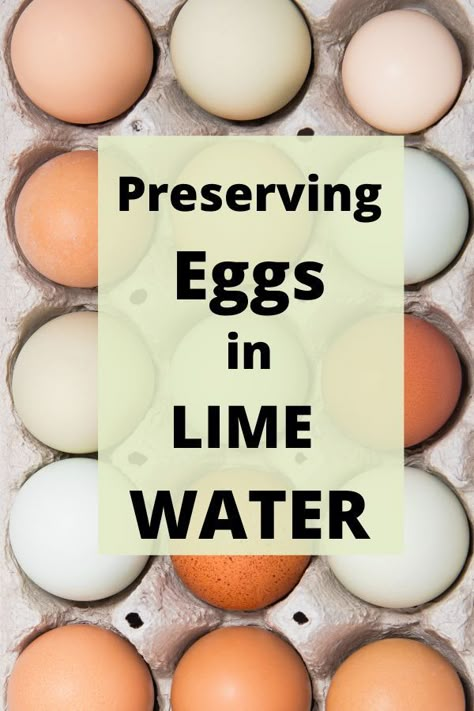 Egg Glassing, Glassing Eggs, Lime Eggs, Preserving Eggs, Storing Eggs, Food Canning, Pressure Canning Recipes, Lime Water, Canning Food Preservation