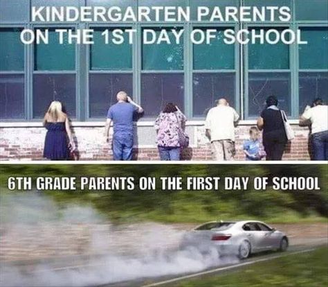 Back To School Quotes Funny, Kindergarten Parent, Back To School Funny, Back To School Quotes, School Funny, School Quotes Funny, Teacher Memes, School Quotes, 1st Day Of School