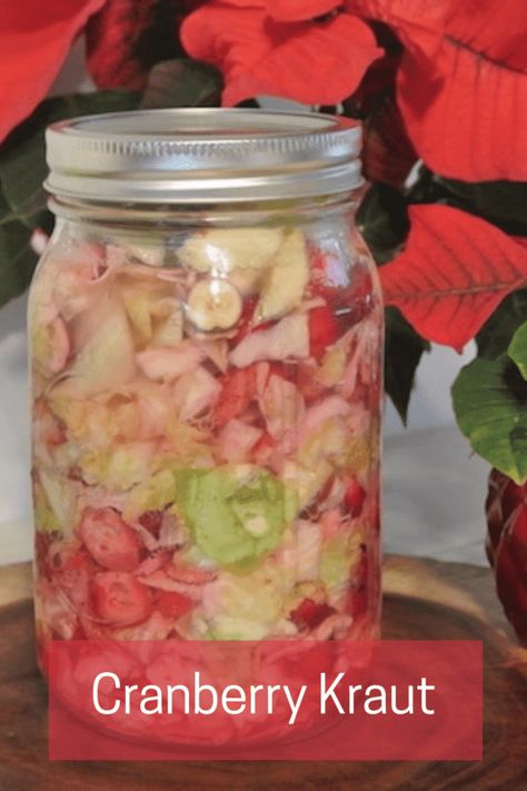 Fermented Recipes, Rich Holiday, Fermented Veggies, Lower Inflammation, Holiday Meal, Natural Parenting, Holistic Living, Food Tips, Fermented Foods