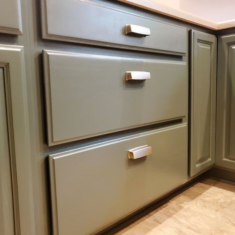 🍀 Forestwood green is a favorite (even when it's not St Patties day)! ⭐️ Would you try green in your home? #stpatricksday #forestwoodgreen #diypainter #diyhomepaint #painting #homepaint #trendinghomepaint #paintbeforeandafter #diycabinets #diyspraypainting #kitcheninspo #kitchenupdate #diykitchen #DIYhome #DIYhomeupdates #kitchenideas #cabinets #cabinetry #mesheddesigns #spraypaitingtips #homediytips #homediyproject #paintingcabinets #interiors #homeimprovement #goldenoak #goldenoakmakeover Forestwood Green, Kitchen Wall Painting, Diy Home Updates, St Patties, Home Updates, Home Refresh, Saint Patties, Can Diy, Golden Oak