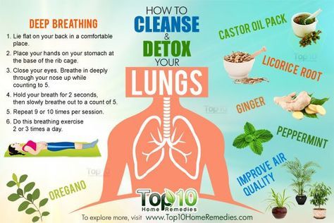 A lung cleanse helps detoxify and cleanse the delicate respiratory linings of the bronchial passages and lungs, which often have an accumulation of environmental toxins, harmful organisms and irritants. It promotes normal lung functioning, reduces any swelling and inflammation, and rejuvenates lung vitality and strength. Furthermore, it helps clear mucus from the airways and improves circulation to the lungs. Chest Physiotherapy, Whole Body Cleanse, Lung Cleanse, Healthy Detox Cleanse, Body Detox Cleanse, Detox Your Liver, Full Body Detox, Kidney Cleanse, Cleanse Detox