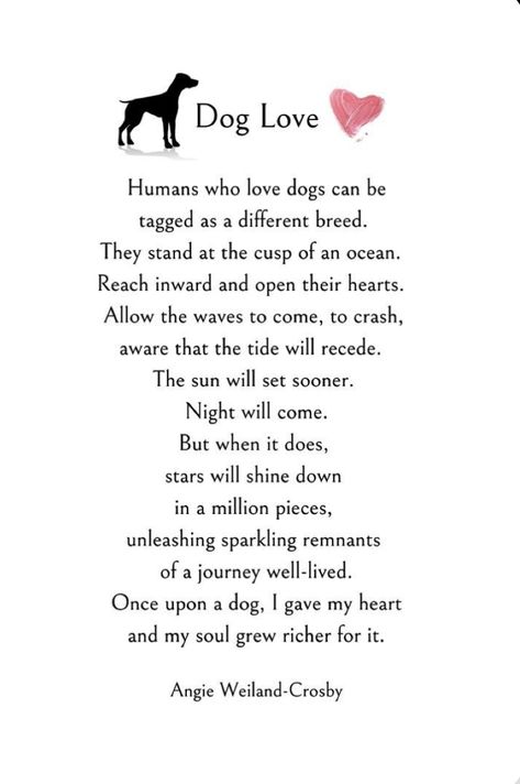 Dog Poetry, Miss My Dog, Dog Poems, Soul Love, Dog Quotes Love, Dog Heaven, Loss Of Dog, Dog Memorial, Animal Quotes