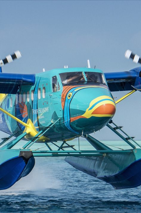 Four Seasons Maldives private seaplane Flying Triggerfish Four Seasons Resort, Maldives Resort, Colorful Fish, Otters, Maldives, Four Seasons, Travel Destinations, Aircraft, Fish