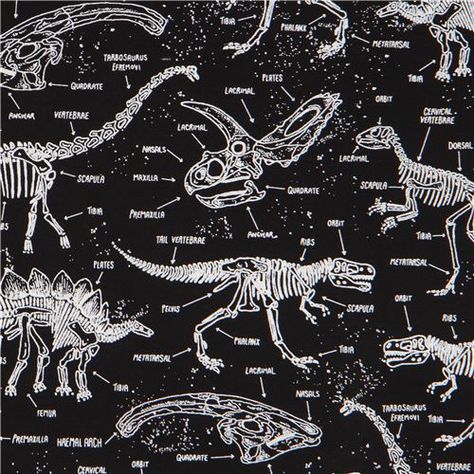 black fabric with glow in the dark dinosaur skeleton by Timeless Treasures - modeS4u Dinosaur Skeletons, Dinosaur Wallpaper, Dinosaur Fabric, Timeless Treasures Fabric, Dinosaur Skeleton, Dinosaur Bones, Dinosaur Fossils, Jurassic Park World, A4 Poster