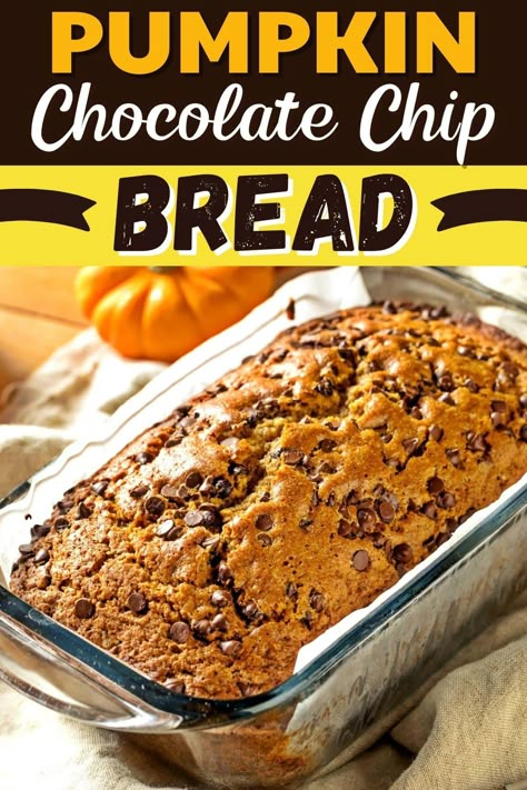 Pumpkin Chocolate Chip Loaf Recipe, Chocolate Pumpkin Bread Recipe, Pumpkin Bread Recipe Chocolate Chip, Chocolate Loaf Bread, Pumpkin Loaf Recipe, Chocolate Chip Pumpkin Bread Recipe, Loaf Breads, Chocolate Pumpkin Bread, Easy Pumpkin Bread