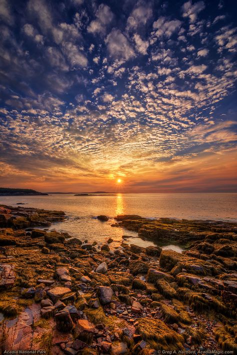 Acadia Maine, Mount Desert Island, Maine Usa, Desert Island, Acadia National Park, The Sunrise, National Park, Maine, National Parks