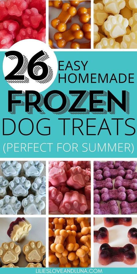 Homemade Frozen Dog Treats for Summer Dog Popsicles Recipe, Dog Treats For Summer, Dog Treats To Make, Homemade Frozen Dog Treats, Summer Dog Treats, Frozen Dog Treats Recipes, Dog Popsicles, Homemade Dog Biscuits, Frozen Dog Treats Homemade