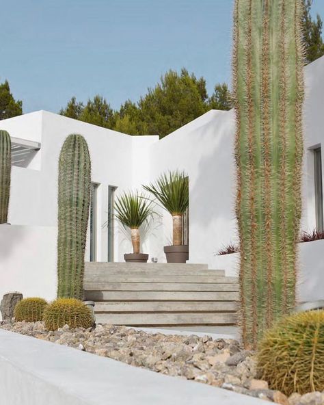 Ellery Store (@ellery.store) posted on Instagram • Oct 5, 2020 at 11:44pm UTC Outdoor Space Design, Mediterranean Design, Casas Coloniales, Modern Color Palette, Desert Homes, Casa Exterior, Cactus Garden, Terrace Garden, Desert Landscaping