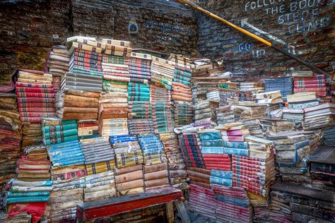 Excited to share the latest addition to my #etsy shop: Venice Italy Wall Art, Canvas, Fine Art Print Travel Photography, Library of Books, Europe, Italian Wall Decor https://etsy.me/2Xbnslm #christmas #entryway #contemporary #wallart #walldecor #photography #homedecor Milan Museum, Italian Wall Decor, Vinyl Cafe, Cello Lessons, Wall Decor Master, Cozy Library, Terracotta Warriors, Italy Wall Art, Teacher Assistant