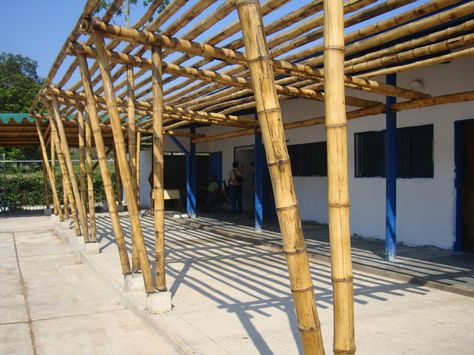 BAMBOO Bamboo Pergola, Bamboo Ideas, Horse Barn Designs, Hut House, Barn Design, Native Design, Horse Barn, Concept Architecture, Pergola