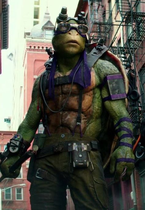 Tmnt 2016, Qa Tester, Ninja Turtles 2014, Donnie Tmnt, Taste In Men, Teenage Mutant Ninja Turtles Movie, Raphael Tmnt, Male Cartoon Characters, Donatello Ninja Turtle