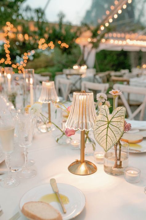 Danielle Frankel, Garden Party Wedding, Wedding Dinner, Wedding Mood Board, Wedding Tablescapes, Wedding Mood, Dreamy Wedding, Over The Moon, Here Comes The Bride