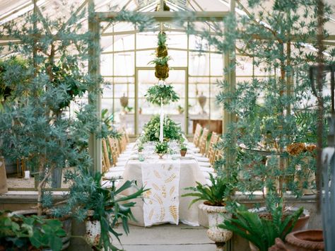 7 Lush New Jersey Garden Venues | https://www.theknot.com/content/new-jersey-garden-wedding-venues Wedding Venues Indoor, Nj Wedding Venues, Smallest Wedding Venue, Garden Venue, Greenhouse Wedding, Garden Wedding Venue, Rustic Wedding Venues, Wedding Event Venues, Unique Wedding Venues