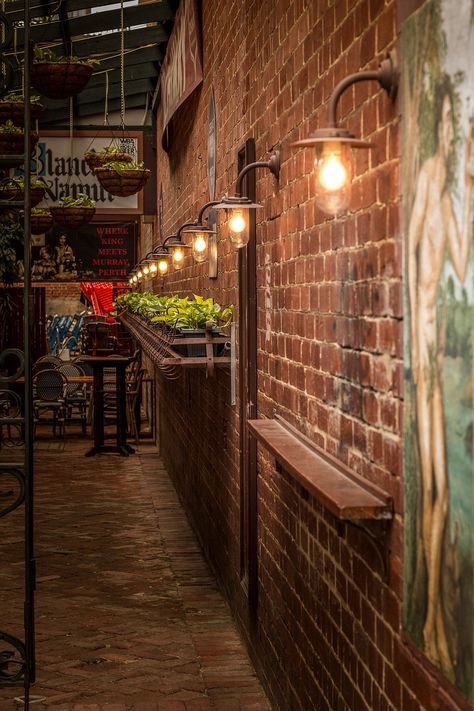 Lane, Lights, Old Fashioned, Brick Wall, Mural, Plants Brick Wall Lighting, Wall Mural Plants, Red Brick Wall Interior, Mural Plants, Wall Lights Ideas, Plants Restaurant, Brick Restaurant, Brick Wall Mural, Brick Pattern Wallpaper