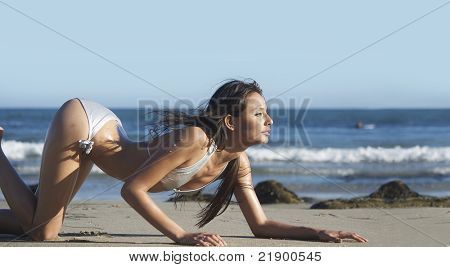 Beautiful woman crawling along beach in seductive pose Stock Photo ... Female Crawling Pose Reference, Woman Crawling Pose Reference, Crawling Towards Camera Pose, Woman Crawling Pose, Crawling Pose Reference Drawing, Crawling Reference, Person Crawling, Crawling Pose Reference, Woman Crawling