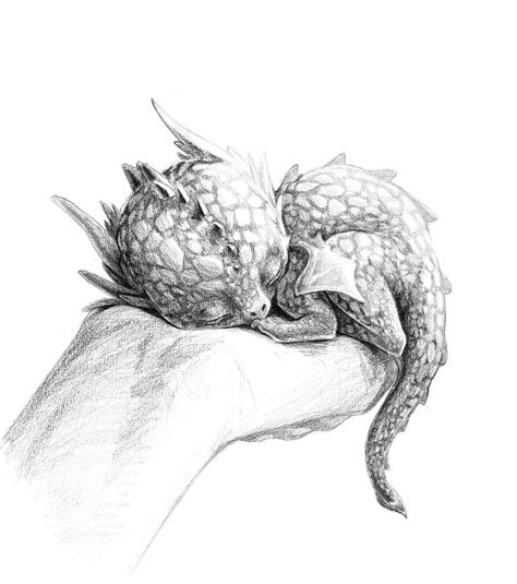 Cutest Dragon Ever [http://effenndee.wordpress.com/2011/04/18/baby-dragon/] Creature Fantasy, Dengeki Daisy, G-dragon, Dragon Sketch, Fantasy Drawings, Samurai Tattoo, Animal Drawing, Vampire Knight, Cute Dragons