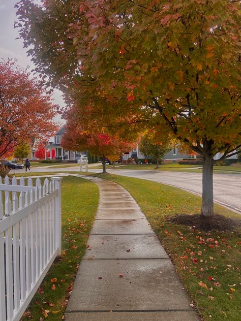 Halloween Fall Aesthetic, Fall Foilage, Fall Rain, Spooky Halloween Pictures, Home Styles Exterior, Fall Getaways, Autumn In New York, Autumn Scenes, Autumn Halloween