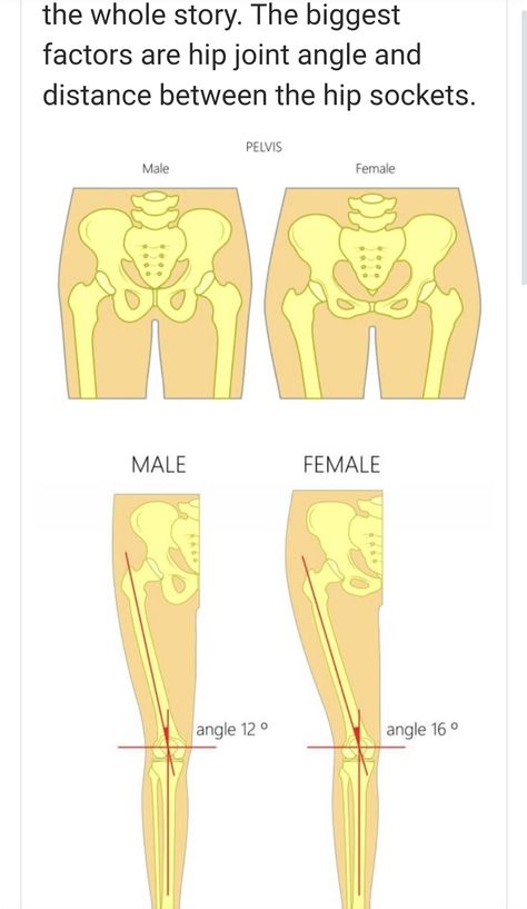 Between Male and female bones. Forensic anthropology 2 Males 1 Female, Female Bone Structure, How To Draw Male Hips, Male Pelvis Anatomy, Forensic Sketching, Hand Bones Drawing Sketch, Male Hips Reference, Female Hip Anatomy, Male Pelvis