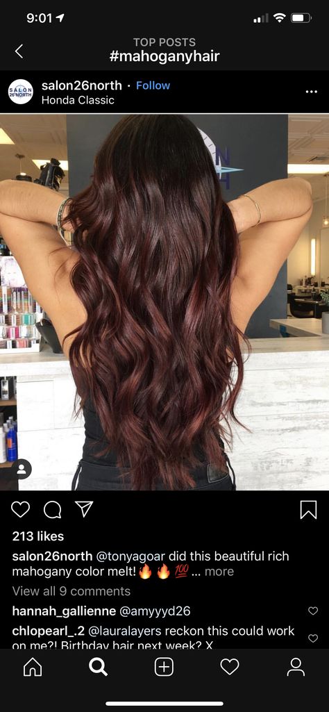 Rich Chocolate Cherry Brown Hair, Blackberry Highlights On Brown Hair, Dark Hair Color Ideas Red Tint, Dark Hair With Tint Of Red, Chocolate Mohagany Hair, Dark Brown Burgundy Balayage, Chocolate Brown Hair With Hint Of Red, Chocolate Burgundy Hair Brunettes, Tinted Red Hair Dark Brown