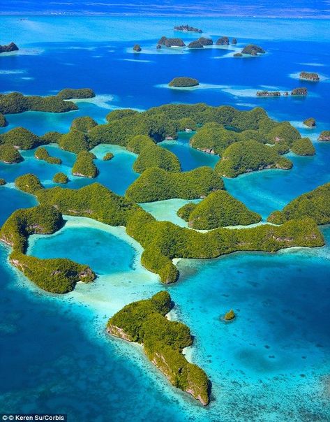 A marine sanctuary which houses thousands of fish species, translucent waters and breath-taking dive and snorkel locations, will remain preserved after a new law was passed in the Archipelago, Republic of Palau #palau #oceania #island #tropical #vacation #diving South Pacific Islands, Oceania Travel, Pacific Islands, Palau, Island Travel, Incredible Places, South Pacific, Tropical Islands, Beautiful Places To Travel