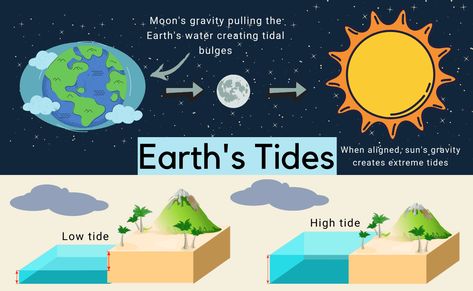 Ever wonder why sometimes the tide is high and why sometimes the tide is low? You've come to the right place. Read on Outforia's newest article to find out what causes tides. High And Low Tide Experiment, Tides Illustration, Spring Tide, Storm Surge, School Posters, High Tide, Home Learning, Extreme Weather, Printable Worksheets