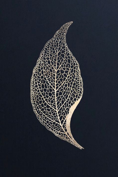 Easy Drawing Step By Step, Leaf Structure, Nerve Plant, Leaf Skeleton, Leaf Vector, Easy Drawing Steps, Drawing Step By Step, Black Paper Drawing, Deco Nature