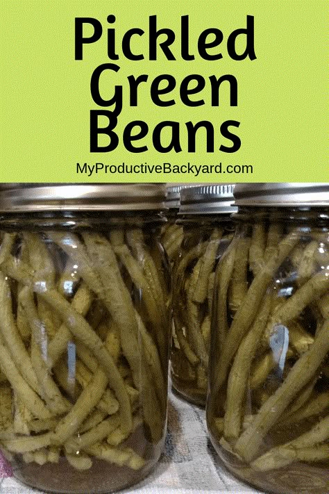 Pickled Green Bean Recipes, Pickled Beans, Pickled Recipes, Pickled Vegetables Recipe, Pickled Green Beans, Dilly Beans, Canning Peaches, Pickle Recipes, Canning Vegetables