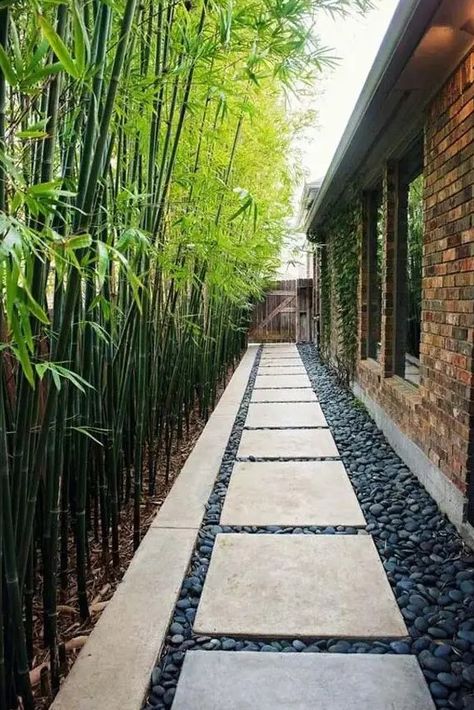 a long and narrow side yard with pebbles and pavements plus bamboo that lines up the path is a cool and chic space Narrow Driveway Landscaping, Pavement Design Landscaping, Narrow Yard Ideas, Long Patio Ideas, Sloped Driveway, Narrow Patio Ideas, Narrow Side Yard, Narrow Backyard Ideas, Yard Decor Ideas