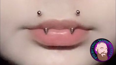 Fangs Piercing, Angel Fangs Piercing, Angel Fangs, Nose Piercing Ideas, Angel Bites Piercing, Angel Bites, Body Modification Piercings, Mouth Piercings, Cool Ear Piercings