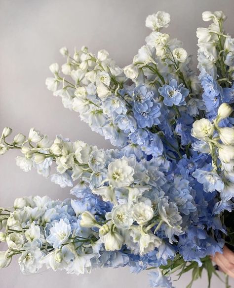 Delphinium Bouquet, Iris Wedding, Baby Blue Weddings, Periwinkle Flowers, Delphinium Flowers, Blue Delphinium, Boquette Flowers, Beautiful Bouquet Of Flowers, July 11