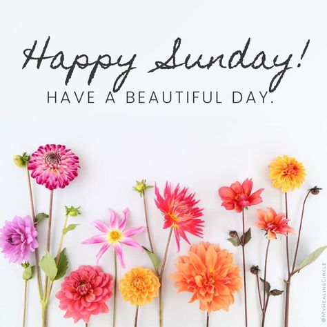 Happy Sunday Flowers, Crochet Pictures, Good Morning Sister Quotes, Morning Sister, Happy Sunday Images, Monday Morning Quotes, Daily Wishes, Sunday Greetings, Good Sunday Morning