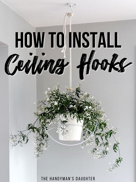 How To Hang Hanging Plants From Ceiling, How To Hang A Plant From The Ceiling, Ceiling Hooks For Plants, How To Hang Plants From Ceiling, Hang Plants From Ceiling, Hooks For Hanging Plants, Hanging Plant Hooks, Plant Hooks, Budget Design