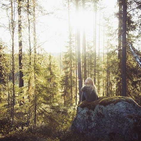 September Vibes, Comfort Things, Jonna Jinton, Australia Landscape, Mountain Aesthetic, Visit Sweden, Author Branding, Light Aesthetic, Cottage In The Woods