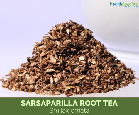 Sasparilla Root Tea Benefits, Sasparilla Root Benefits, Burdock Root Benefits, Burdock Root Tea, Teas For Headaches, Tea For Colds, Medicinal Tea, Holistic Recipes, Healing Tea