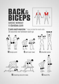 Back and Biceps Workout Forearm Workout At Home, Biceps Workout At Home, Back And Biceps Workout, Best Bicep Workout, Back Workout Men, Big Biceps Workout, Back Workout At Home, Back And Bicep Workout, Bicep And Tricep Workout