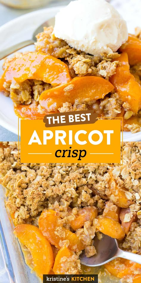 What To Make With Fresh Apricots, Easy Apricot Dessert Recipes, Apricot Cobbler Fresh, Fresh Apricot Recipes Dinner, Recipes Using Apricots, Desserts With Apricots, Things To Make With Apricots, Apricot Crisp Recipes, Apricot Desserts Easy