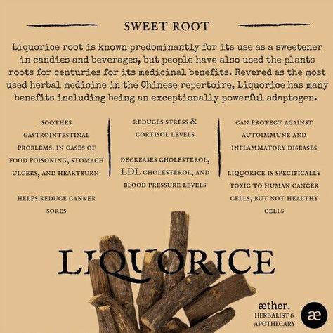 Licorice Root Benefits, Herbal Health, Medical Herbs, Plant Medicine, Food Medicine, Herbal Apothecary, Healing Plants, Herbal Healing, Herbs For Health