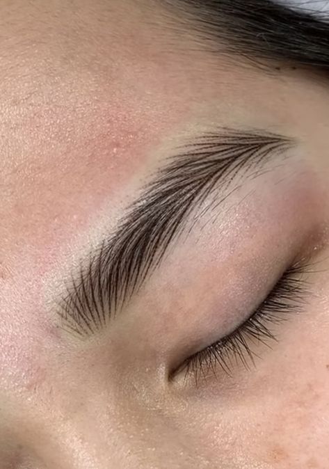 Eyebrow Strokes Tutorial, Micropigmentation Eyebrows, Microblading Patterns, Microblading Eyebrows Aesthetic, Bold Brows Microblading, Hairstroke Eyebrows, Eyebrows Tattoo Microblading, Eyebrow Images, Phi Brows Microblading Pattern