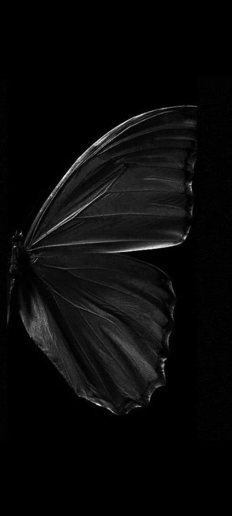 Butterfly Dark Aesthetic, Dark Butterfly Wallpaper Aesthetic, Black Butterflies Aesthetic, Black Butterfly Wallpaper, Libra Wallpaper, Chat Wallpaper Whatsapp, 3d Wallpaper Butterfly, Wings Wallpaper, Dark Purple Wallpaper