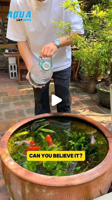 Aqua Layouts on Instagram: "Can you believe it ?#fish #fishtanks #fishtank #viral #fishlover #aquarium #aquariumfish #viralvideos #reels" Bio Fish Tank, Fun Fish Tank Ideas, Hydroponic Fish Tank, Planted Fish Tank, Cool Fish Tank Decorations, Unique Fish Tanks, Vase Fish Tank, Fish Tank Garden, Fish Tank Ideas